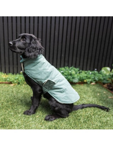 Gilet imbottito per cani FuzzYard Life Myrtle Green
