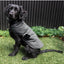 Gilet imbottito per cani FuzzYard Life Slate Grey