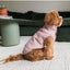 Cappottino per cani in velluto a coste FuzzYard Life Soft Blush