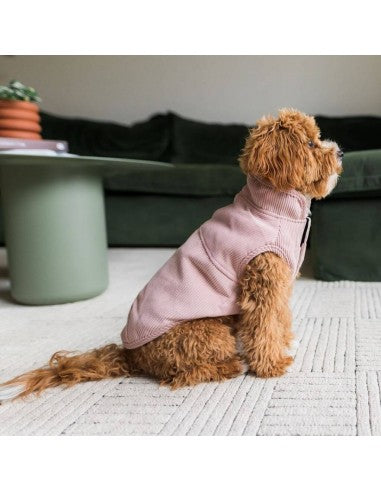 Cappottino per cani in velluto a coste FuzzYard Life Soft Blush