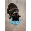 Tappetino leccabile per cani FuzzYard Life French Blue