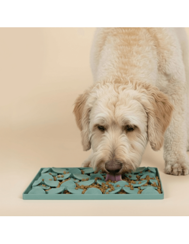 Tappetino leccabile per cani FuzzYard Life Myrtle Green