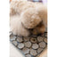 Tappetino leccabile per cani FuzzYard Life Sandstone