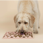Tappetino leccabile per cani FuzzYard Life Soft Blush
