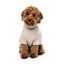 Maglione bouclé per cani FuzzYard Life Sandstone