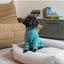 Pigiama morbido per cani FuzzYard Life Myrtle Green