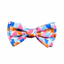 Papillon con velcro per cani FuzzYard Fresh Zest (taglia L)