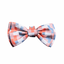 Papillon con velcro per cani FuzzYard Yazd (taglia L)
