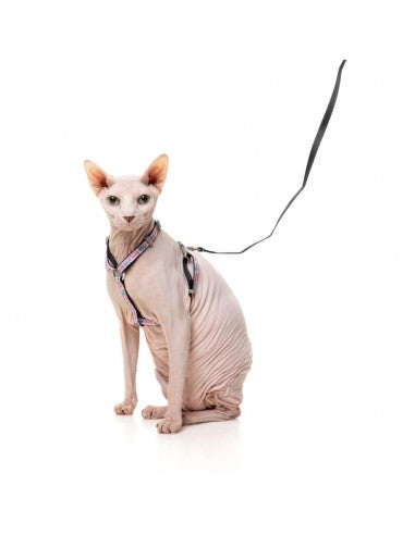 Pettorina per gatti con guinzaglio FuzzYard Meowcarons