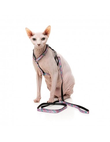 Pettorina per gatti con guinzaglio FuzzYard Meowcarons