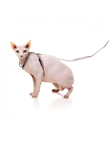 Pettorina per gatti con guinzaglio FuzzYard Meowcarons