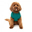 Felpa con cappuccio per cani FuzzYard The Homies, verde (taglia 1)