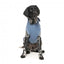 Felpa con cappuccio per cani FuzzYard Treats, blu (taglia 6)