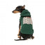 Felpa con cappuccio per cani FuzzYard Treats, verde (taglia 1)