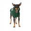 Felpa con cappuccio per cani FuzzYard Treats, verde (taglia 1)