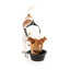 Ciotola pieghevole per cani in silicone FuzzYard FY Active 500 ml
