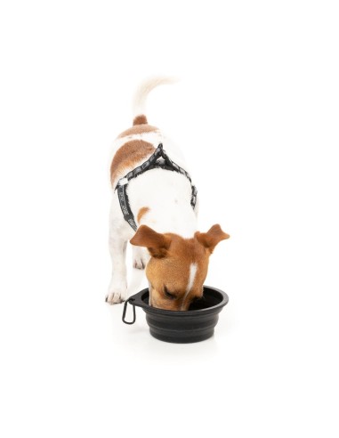 Ciotola pieghevole per cani in silicone FuzzYard FY Active 500 ml