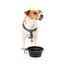 Ciotola pieghevole per cani in silicone FuzzYard FY Active 500 ml