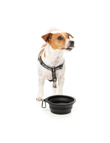 Ciotola pieghevole per cani in silicone FuzzYard FY Active 500 ml
