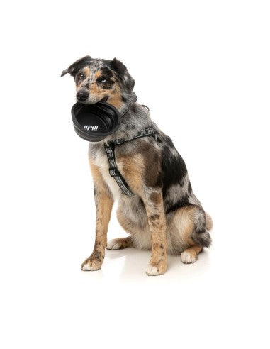 Ciotola pieghevole per cani in silicone FuzzYard FY Active 500 ml