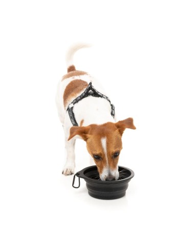 Ciotola pieghevole per cani in silicone FuzzYard FY Active 500 ml