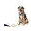 Guinzaglio in corda per cani FuzzYard FY Active kaki, 155 cm