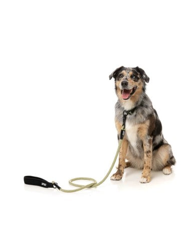 Guinzaglio in corda per cani FuzzYard FY Active kaki, 155 cm
