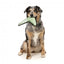 Gioco volante per cani FuzzYard FY Active Flyer kaki