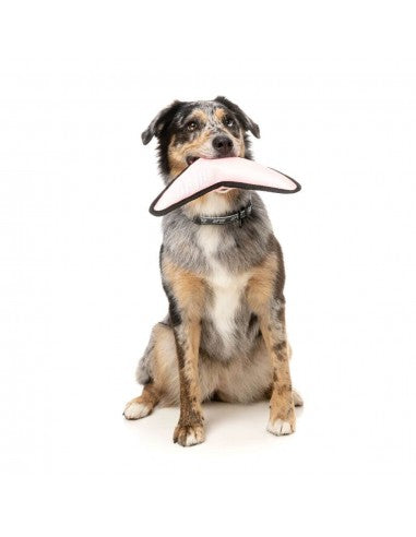 Gioco volante per cani FuzzYard FY Active Flyer pesca