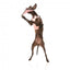 Gioco volante per cani FuzzYard FY Active Flyer pesca