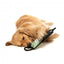 Gioco da tiro per cani FuzzYard Rope Tug cachi