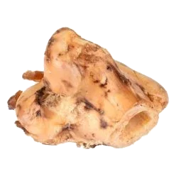 Osso di tibia Nature per cani, 13-14 cm