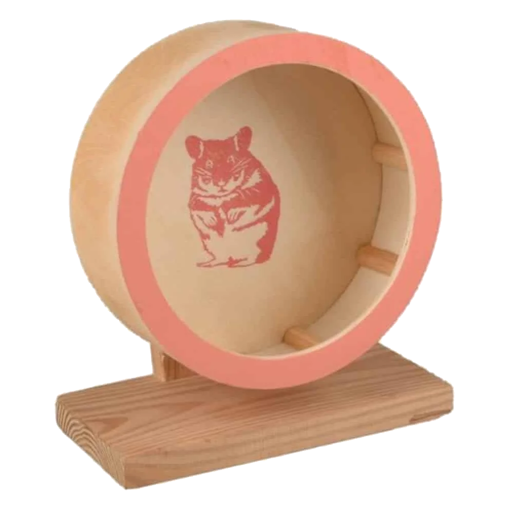 Ruota Danco marrone chiaro per roditori, 28,5 cm