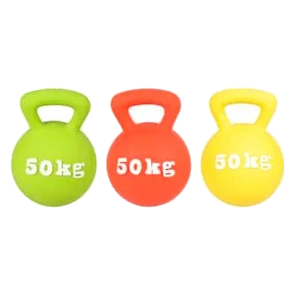 Gioco in lattice Gym 50 kg per cani, 15 cm