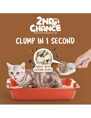 Lettiera agglomerante per gatti Kit Cat 2nd Chance caffè 7 L
