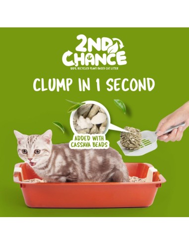 Lettiera agglomerante per gatti Kit Cat 2nd Chance tè verde 7 L