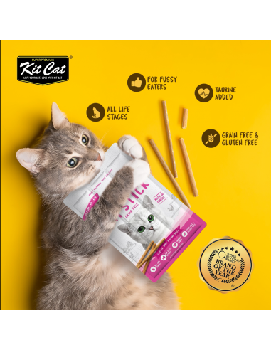 Snack per gatti Kit Cat Cat Stick salmone e katsuobushi 15 g