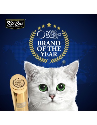 Cibo umido per gatti Kit Cat Toppers pollo e salmone in gelatina 80 g