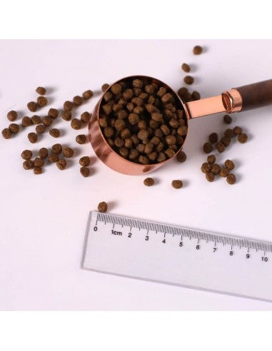 Crocchette per gatti senza cereali Kit Cat No Grain pollo e salmone, 1 kg