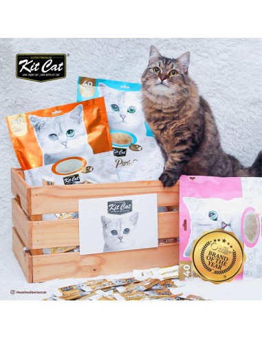 Snack per gatti Kit Cat PurrPuree pollo e salmone 40 x 15 g