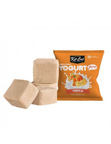 Snack per gatti Kit Cat Yogurt Yums zucca 10 g