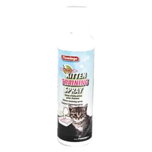 Gioco Kitten Trainer per gatti