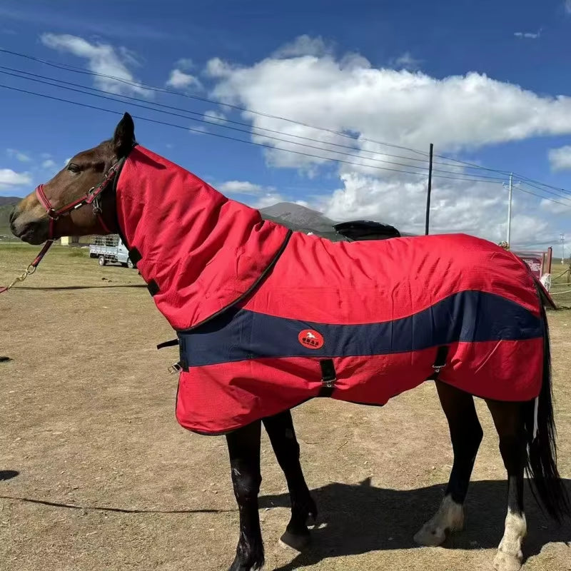 Coperta invernale impermeabile per cavallo con cappuccio – vista 2