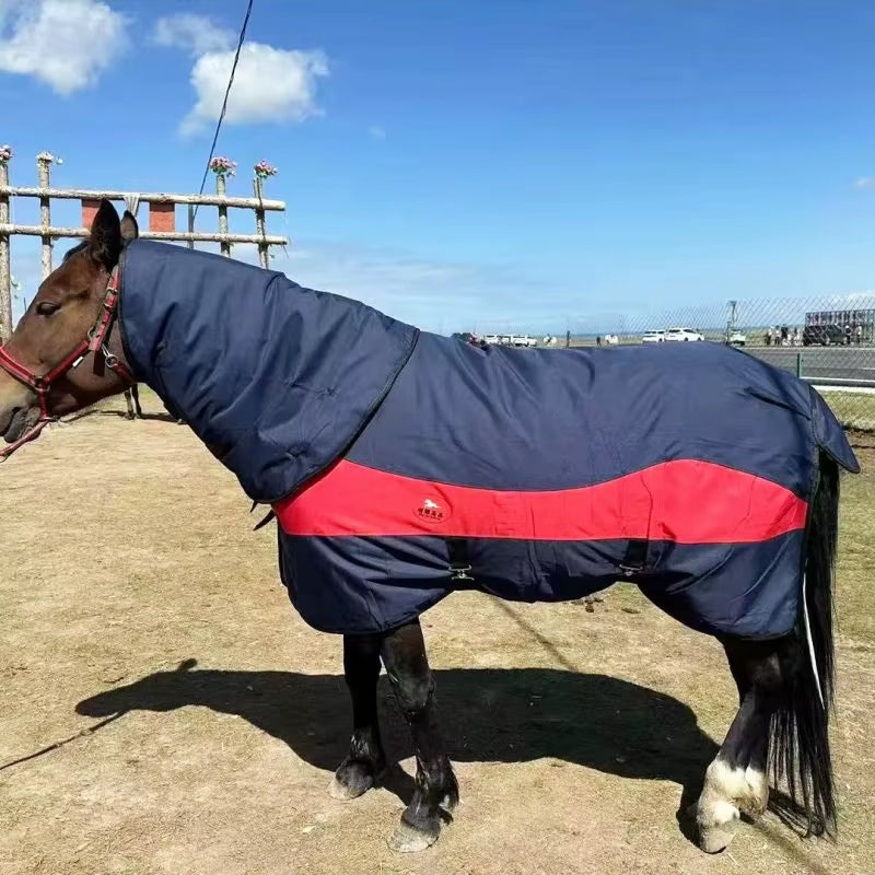 Coperta invernale impermeabile per cavallo con cappuccio – vista 3