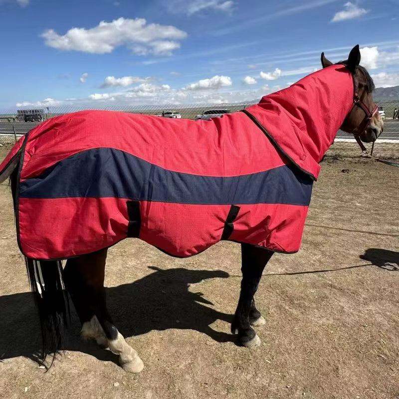 Coperta invernale impermeabile per cavallo con cappuccio – vista 4