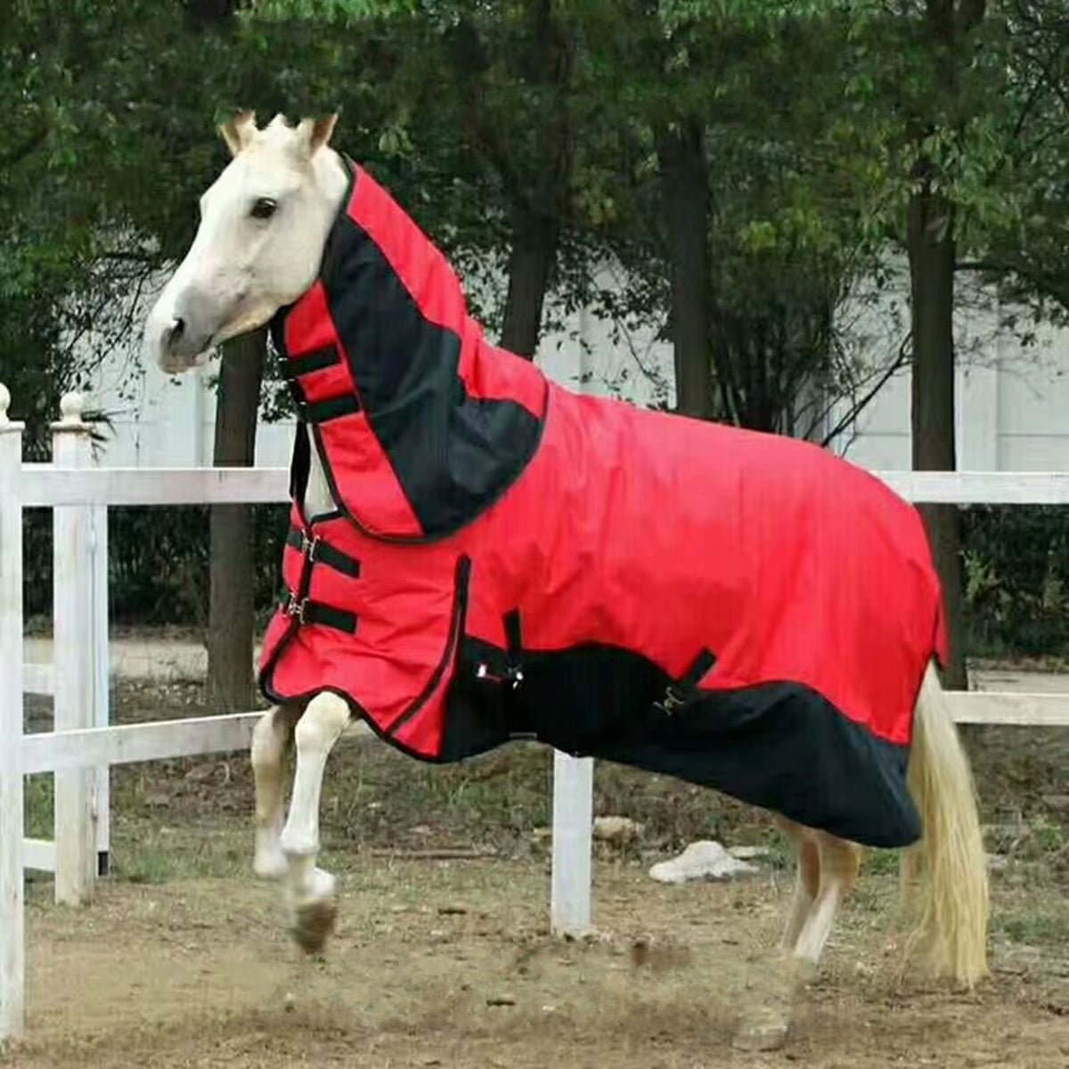 Coperta invernale impermeabile per cavallo, 3 colori – vista 3