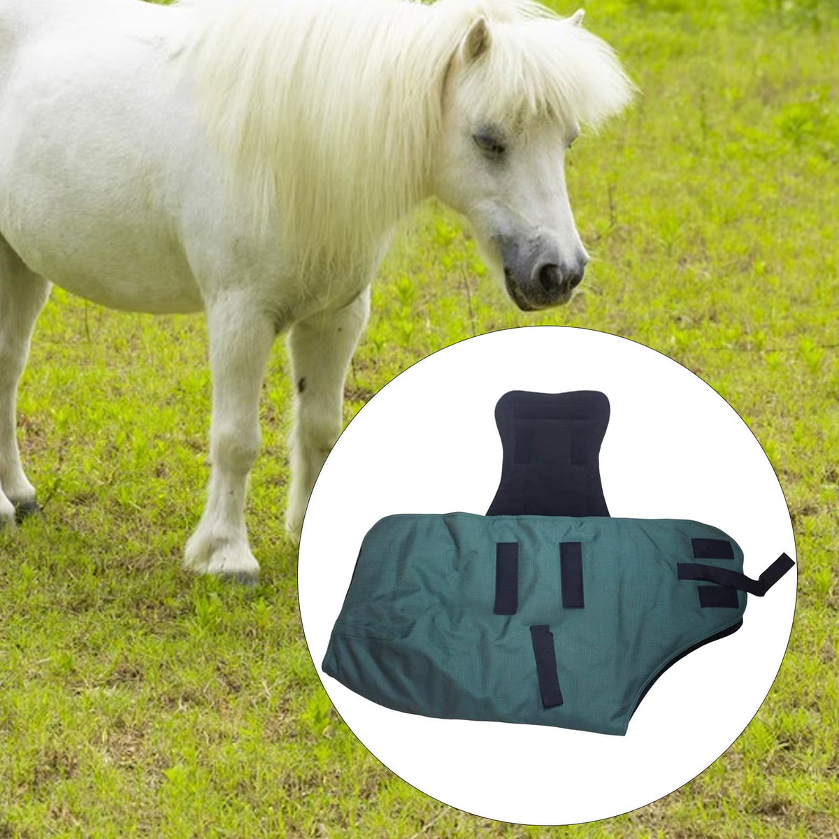 Coperta antipioggia impermeabile e traspirante per cavallo