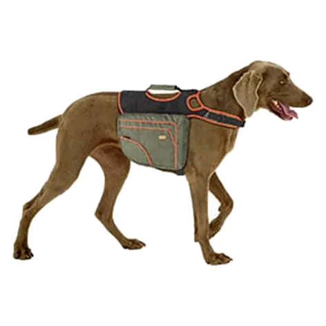 Zaino multifunzione taglia L per cani