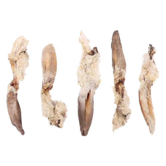 Snack naturali per cani orecchie di coniglio con pelo, busta da 5 pezzi