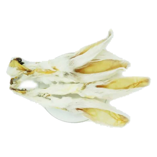 Snack naturali per cani orecchie di coniglio essiccate con pelo, 1 kg